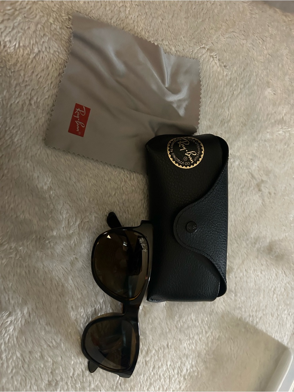 Polarized Ray-Ban Black Frames with Brown Lenses and Carrying Case